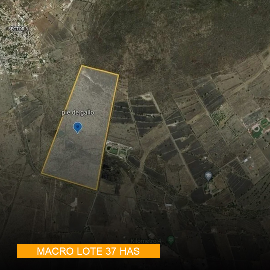 MACRO LOTE 37 HAS