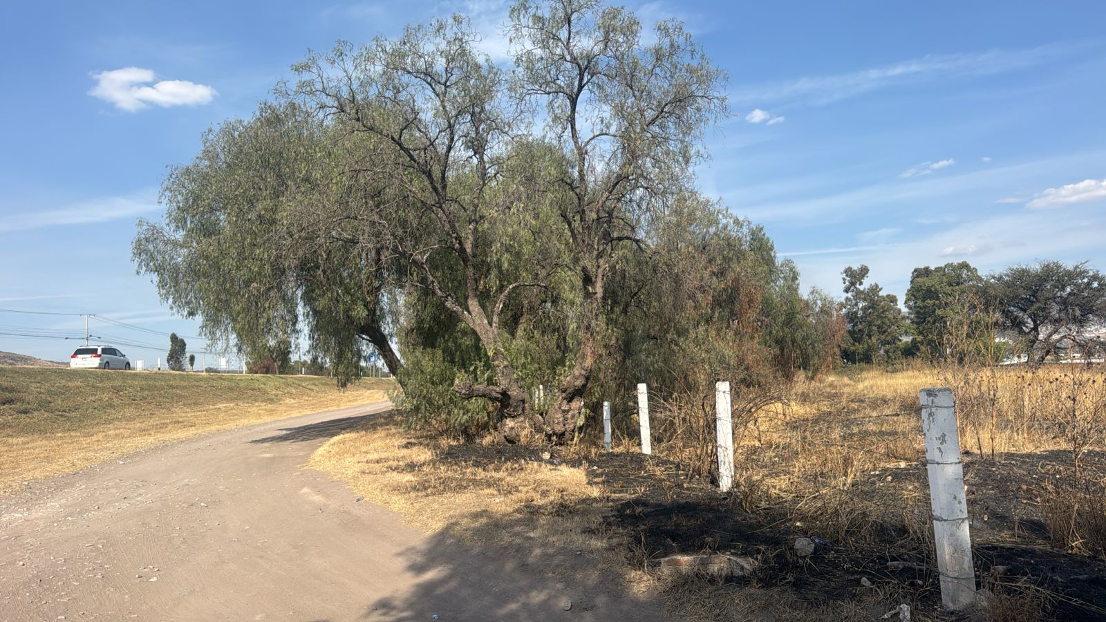 Terreno El Jofrito - Imagen 4